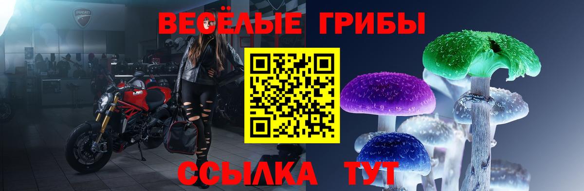 Симферополь  Галлюциногенные грибы прущие грибы  Вход с VPN 