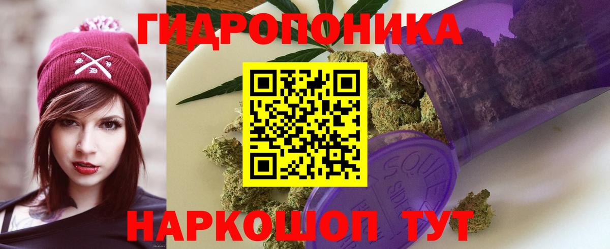 Марихуана Ganja  Бошки марихуана план  Симферополь  Вход с VPN  МАРИХУАНА планчик  Каннабис план 